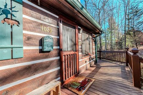 A home in Mineral Bluff