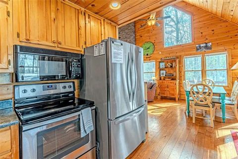 A home in Mineral Bluff