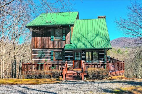 A home in Mineral Bluff