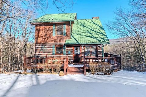 A home in Mineral Bluff