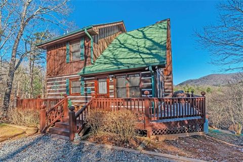 A home in Mineral Bluff