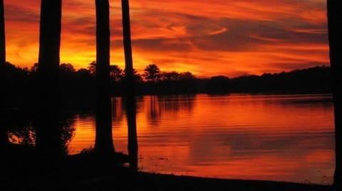 2832 England Road Lincoln AL 35096