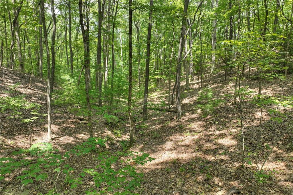 7.89 AC Laurel Springs Road