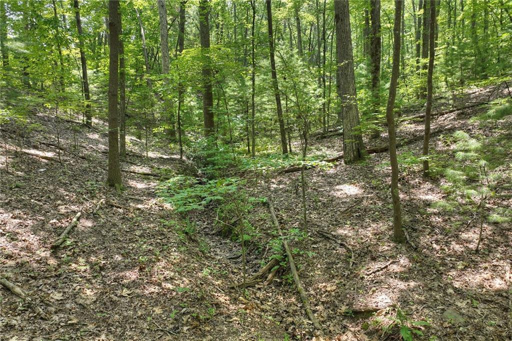 7.89 AC Laurel Springs Road