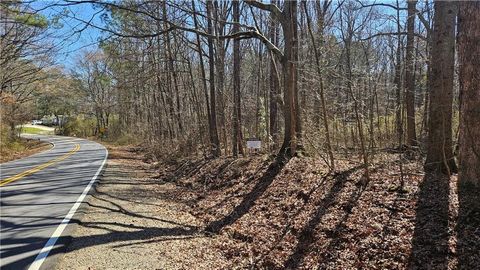 0 Cook Drive Ellenwood GA 30294