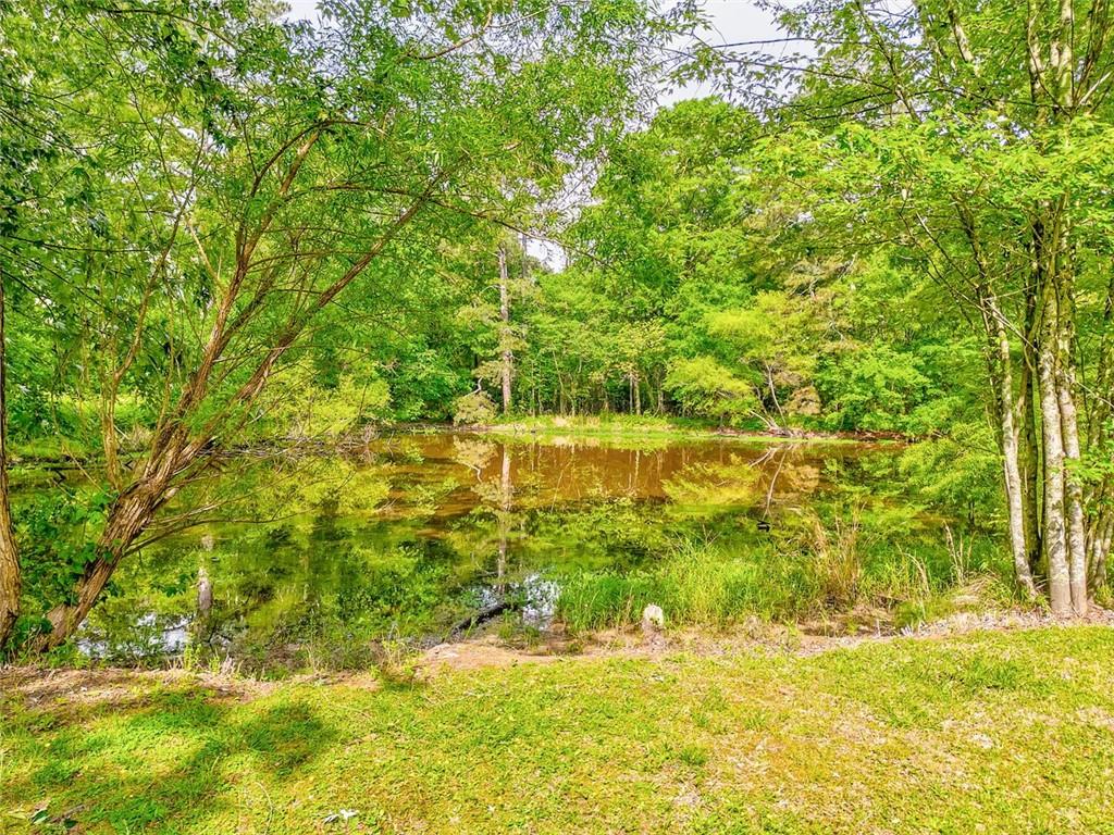 7 York Drive, Plainville, Georgia image 7