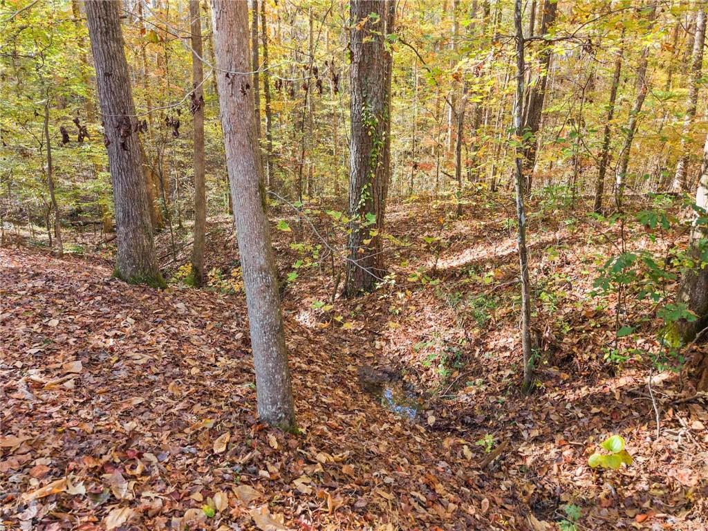 Savannah Trace - Residential