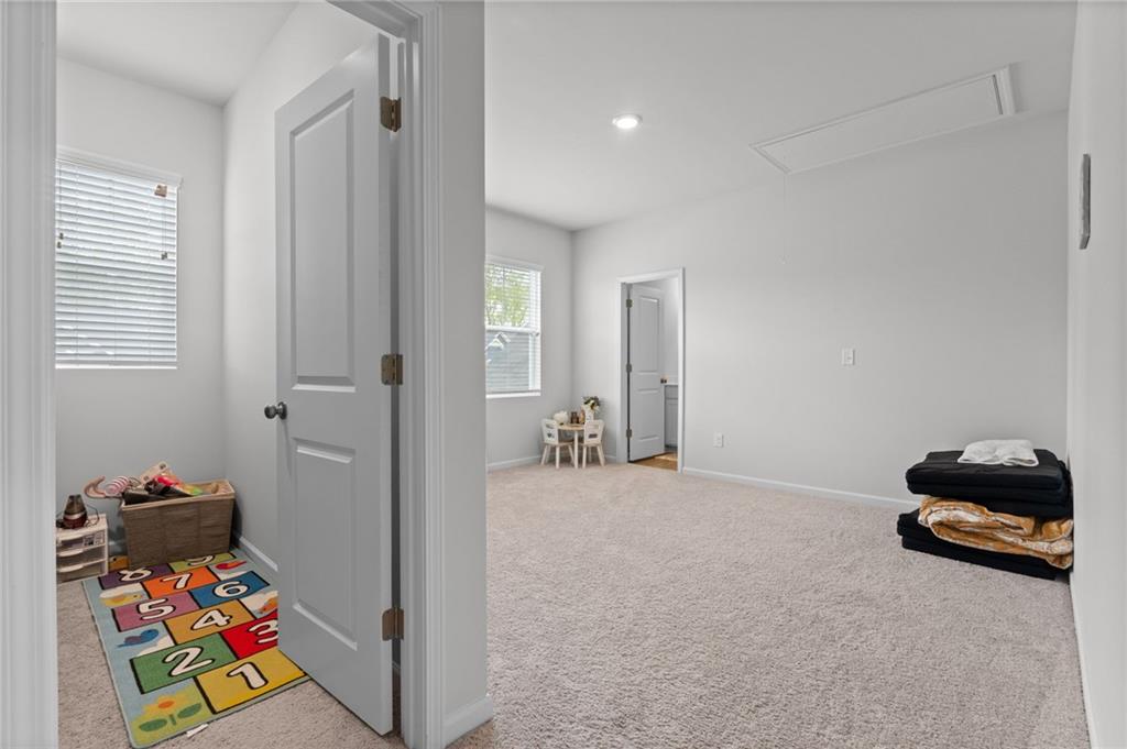 133 Bastian Road, Mcdonough, Georgia image 17