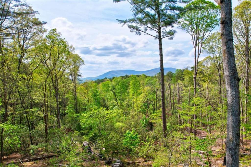 361 Rising Star Road, Ellijay, Georgia image 3