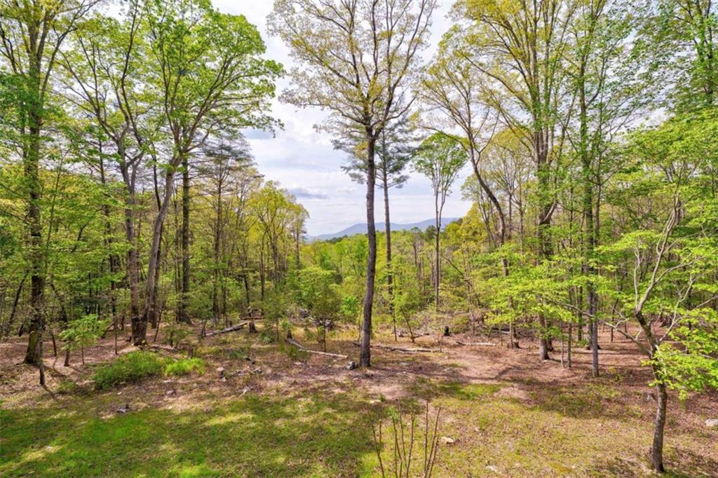 361 Rising Star Road, Ellijay, Georgia image 2