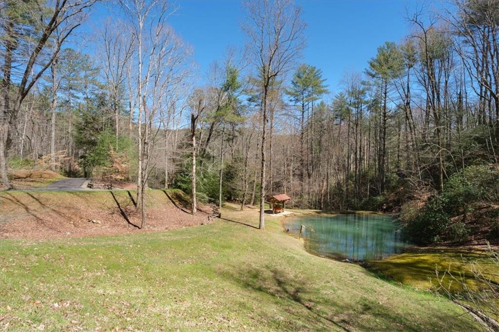 Ellijay, Georgia, 30540, United States, 5 Bedrooms Bedrooms, ,7 BathroomsBathrooms,Residential,Active,2036682