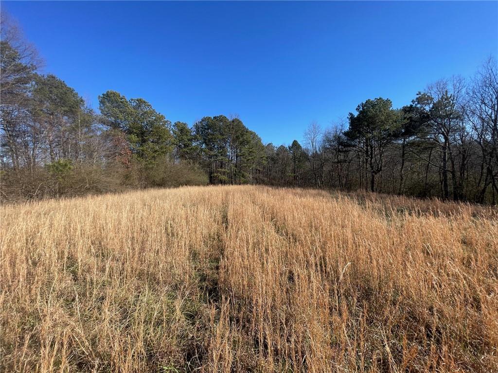 681 Mullinax Roads, Jasper, Georgia image 7