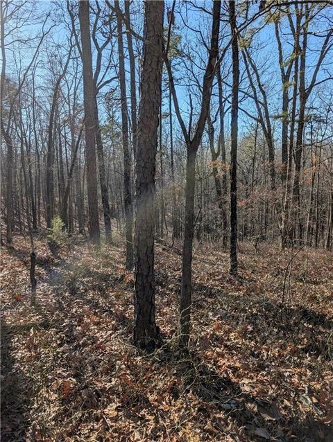 Vacant Land For Sale - 1422 Hanna Drive<br/> Gordon County, Ranger, GA 30734