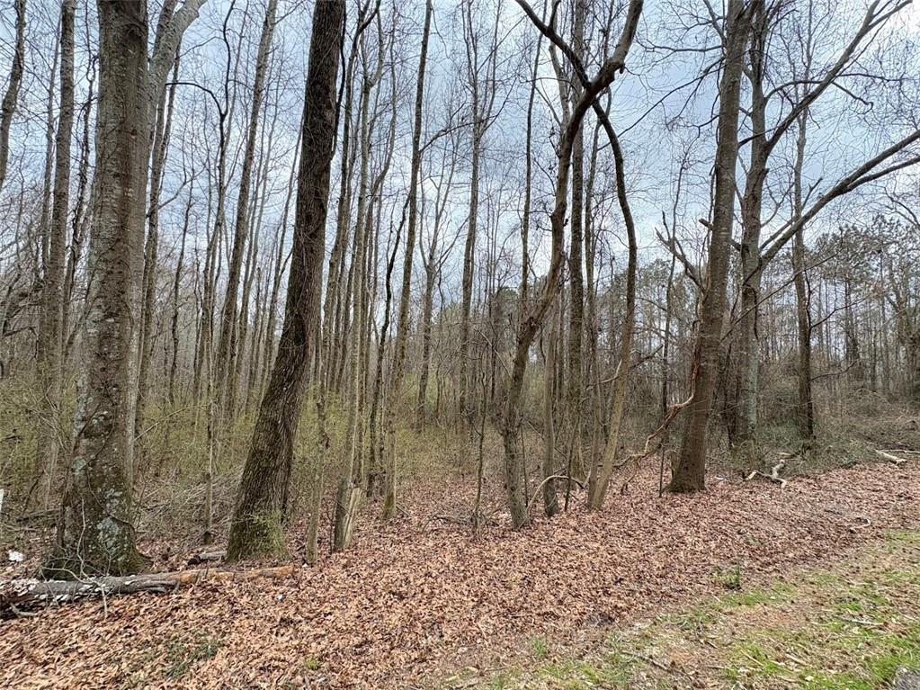 Burwell Mt. Zion Road, Carrollton, Georgia image 4