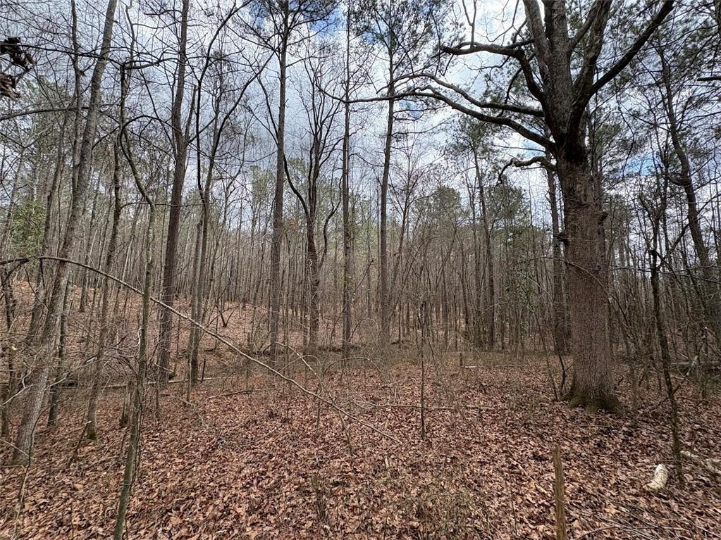 Burwell Mt. Zion Road, Carrollton, Georgia image 9