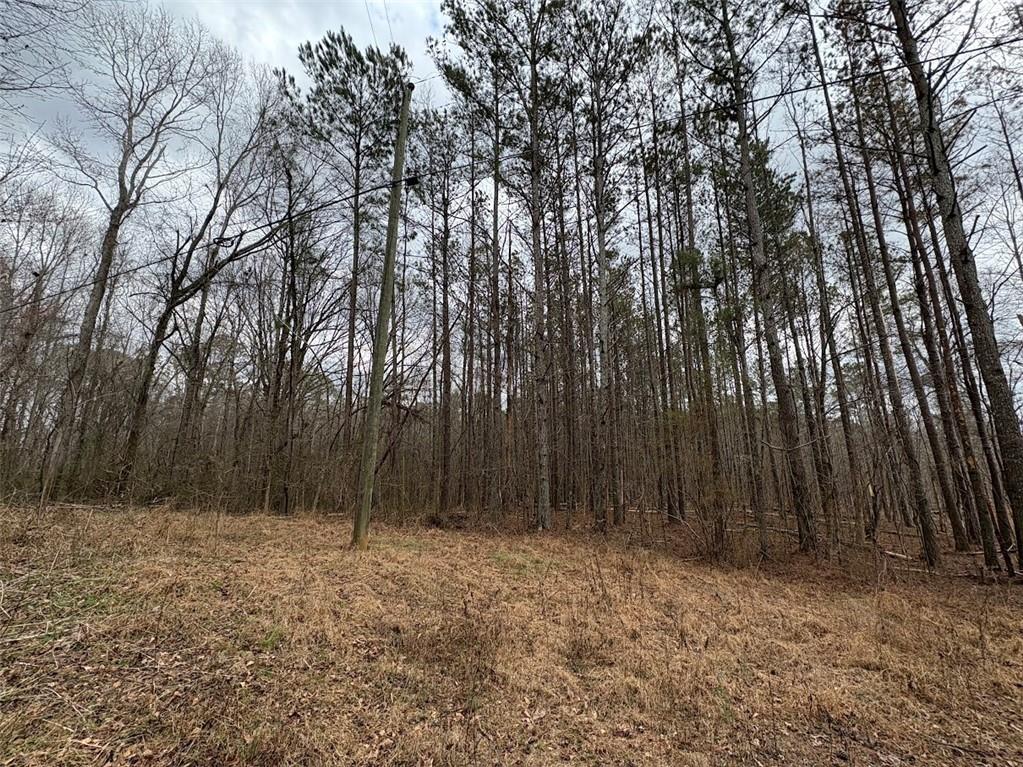 Burwell Mt. Zion Road, Carrollton, Georgia image 7