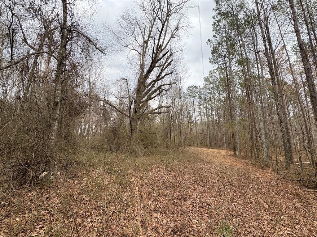 Burwell Mt. Zion Road, Carrollton, Georgia image 5