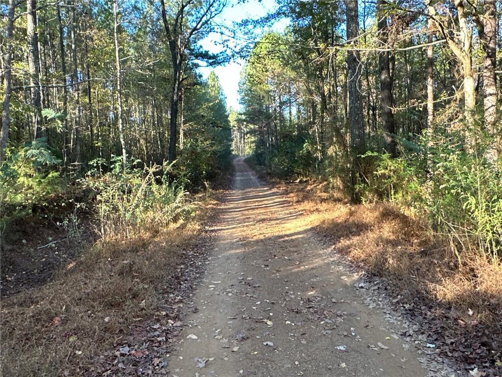 Fire Mountain Road, Cedartown, Georgia image 47