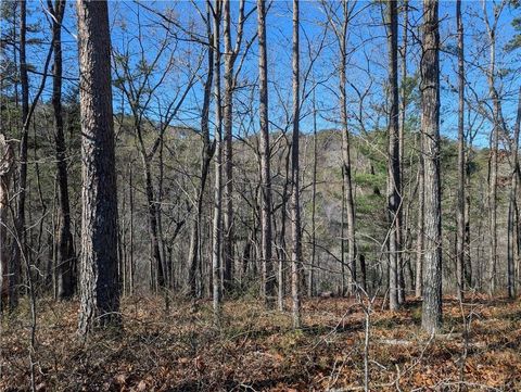 Vacant Land For Sale - 1400 Foxhound Trail<br/> Gordon County, Ranger, GA 30734