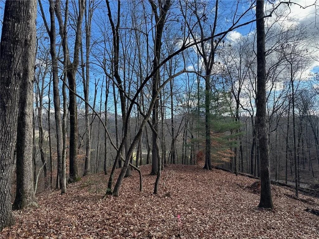 200 Mincey Acres Drive, Murrayville, GA, 30564