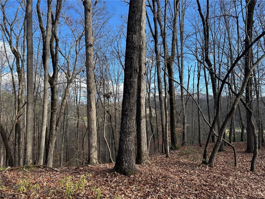 200 Mincey Acres Drive