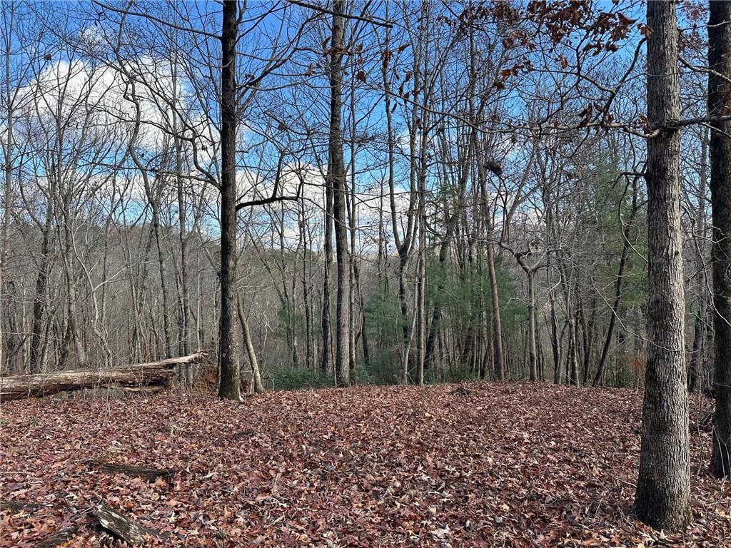 200 Mincey Acres Drive
