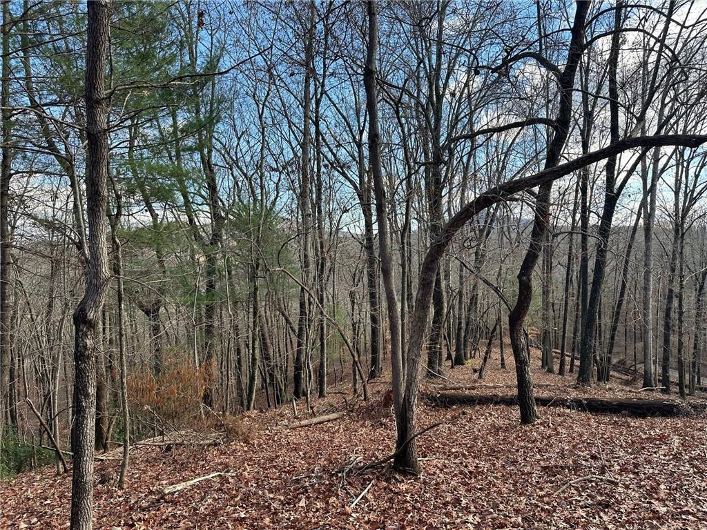 200 Mincey Acres Drive