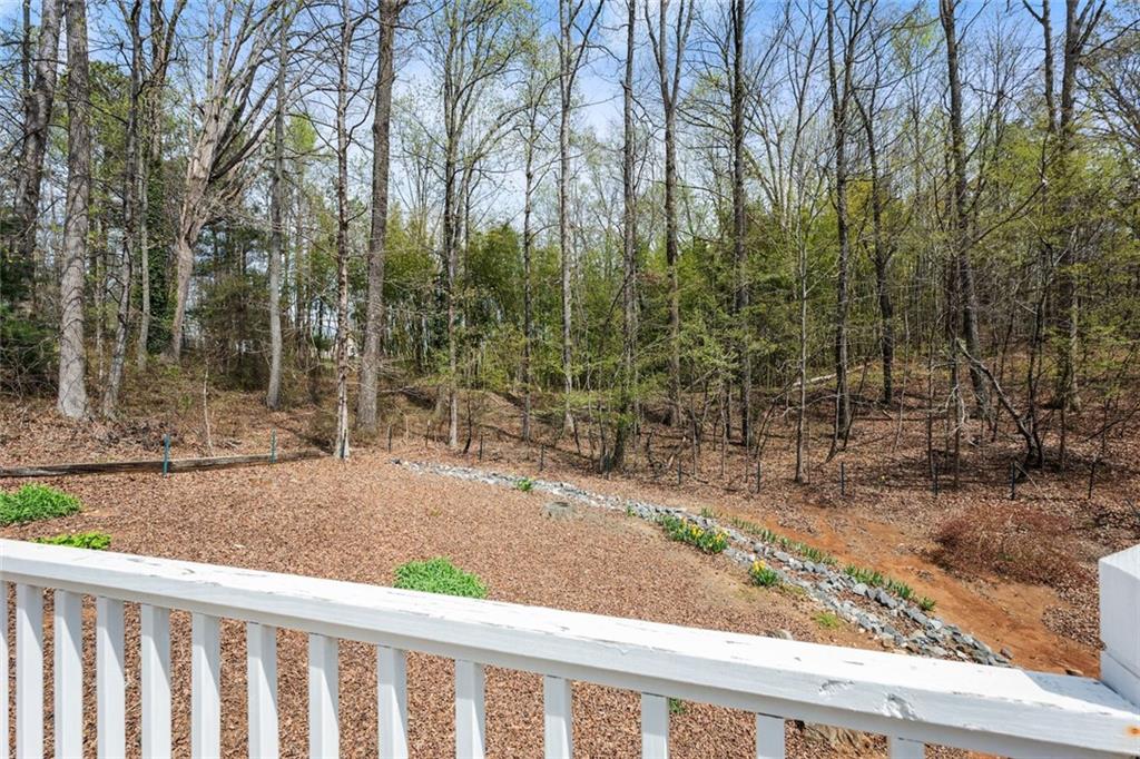 61 Leafview Drive, Cleveland, Georgia image 49