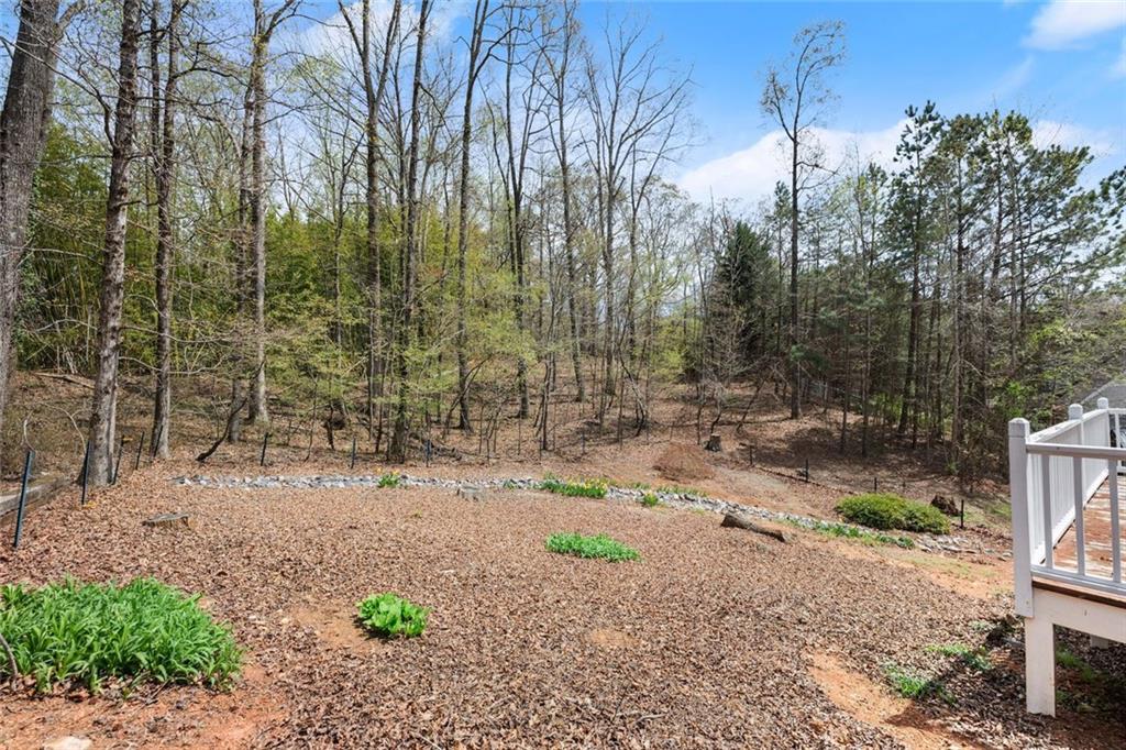 61 Leafview Drive, Cleveland, Georgia image 50