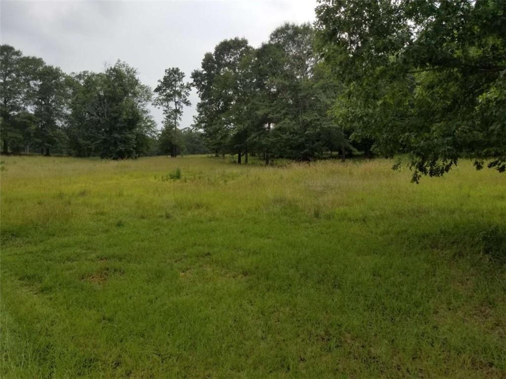 509 Brushy Creek Circle, Jackson, Georgia image 4