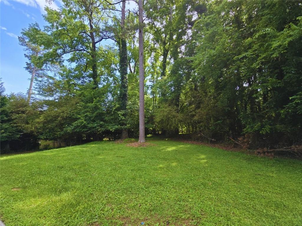 2821 NE Meadowlark Trail Trl, Duluth, Georgia image 38