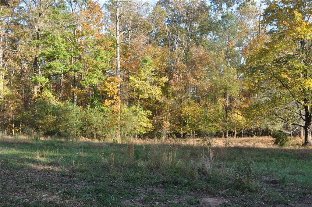 Yarbrough Farm Trail, Cumming, Georgia image 1