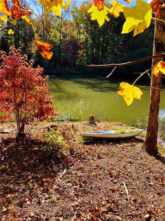 4 Long Mountain Trail, Cleveland, Georgia image 2