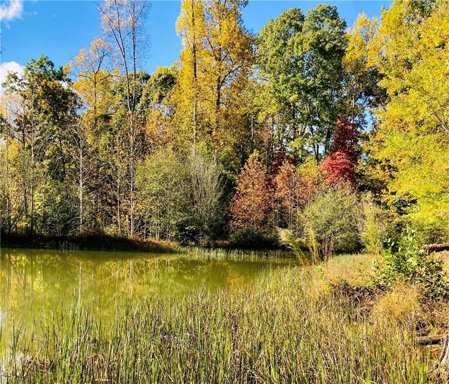 4 Long Mountain Trail, Cleveland, Georgia image 1