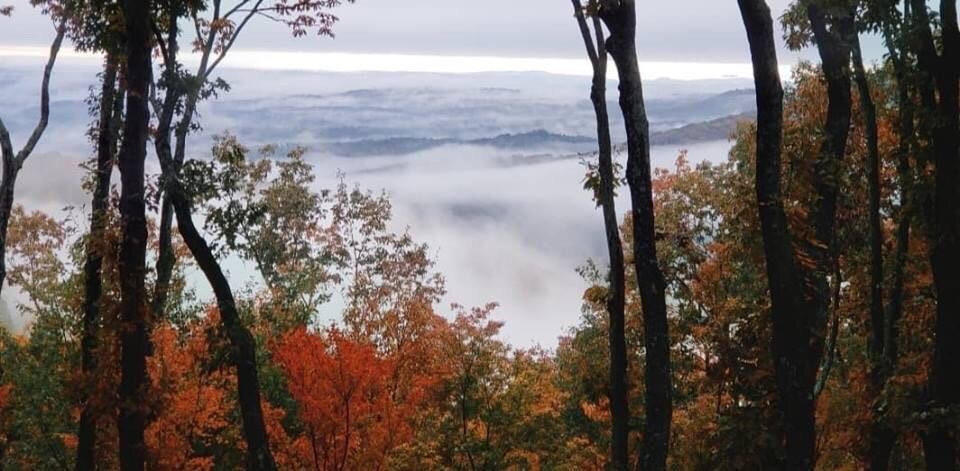 Shadowick Mountain Road, Jasper, Georgia image 6