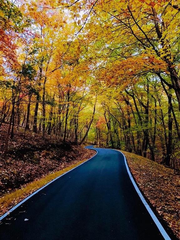 Shadowick Mountain Road, Jasper, Georgia image 8