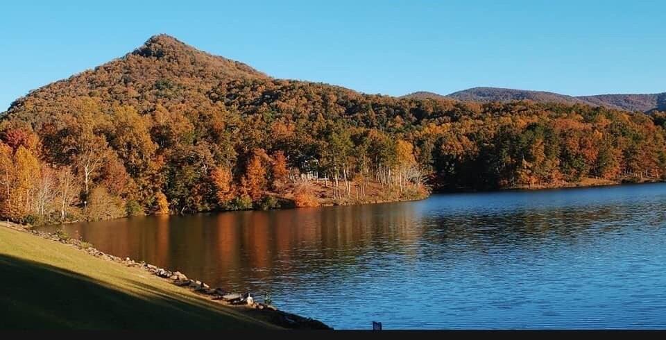 Shadowick Mountain Road, Jasper, Georgia image 2