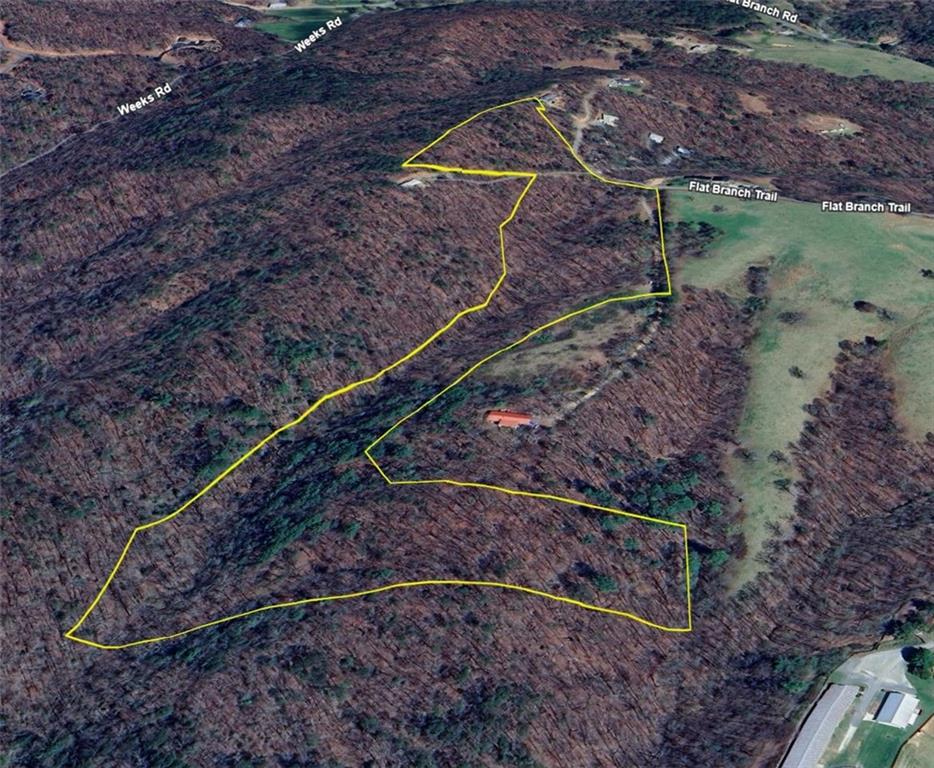TR1TR3 Flat Branch Trail, Ellijay, Georgia image 18