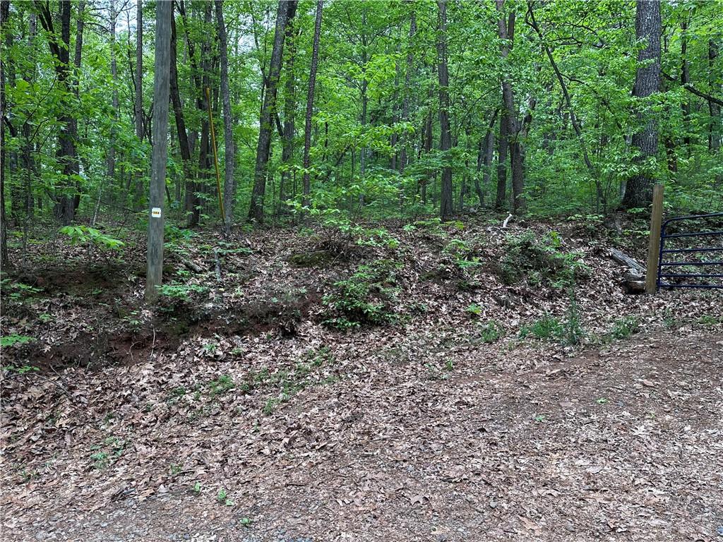 TR1TR3 Flat Branch Trail, Ellijay, Georgia image 9