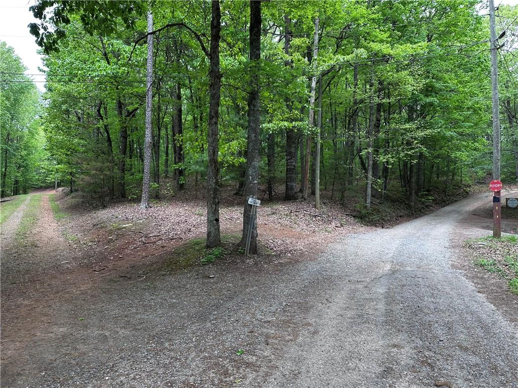 TR1TR3 Flat Branch Trail, Ellijay, Georgia image 13