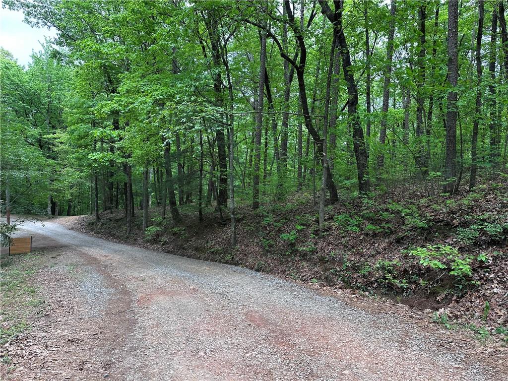 TR1TR3 Flat Branch Trail, Ellijay, Georgia image 1