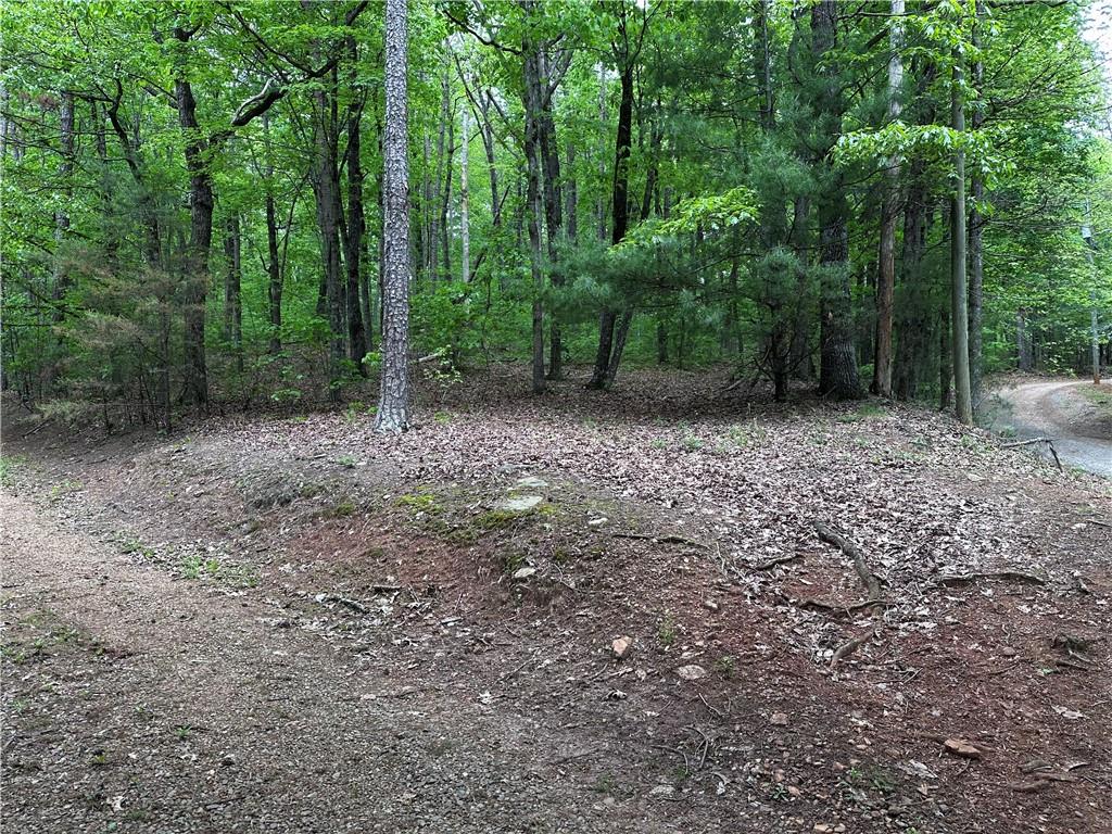 TR1TR3 Flat Branch Trail, Ellijay, Georgia image 14