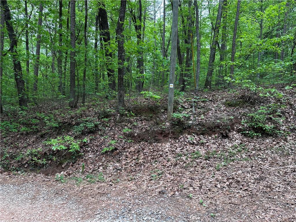 TR1TR3 Flat Branch Trail, Ellijay, Georgia image 10