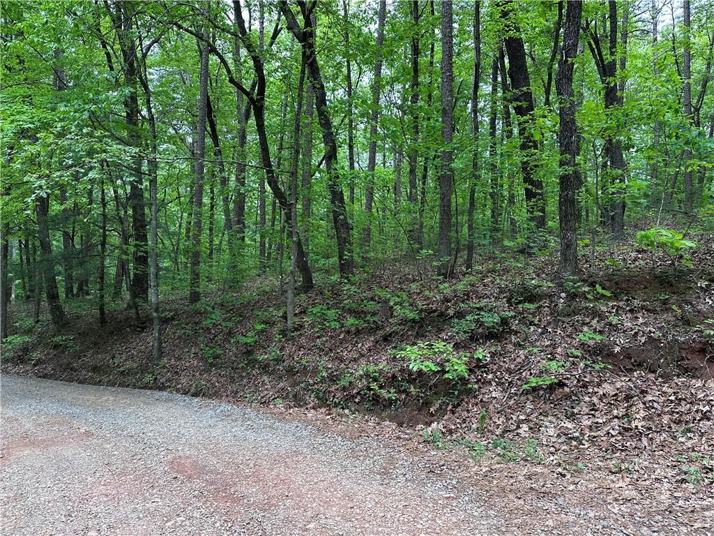 TR1TR3 Flat Branch Trail, Ellijay, Georgia image 11