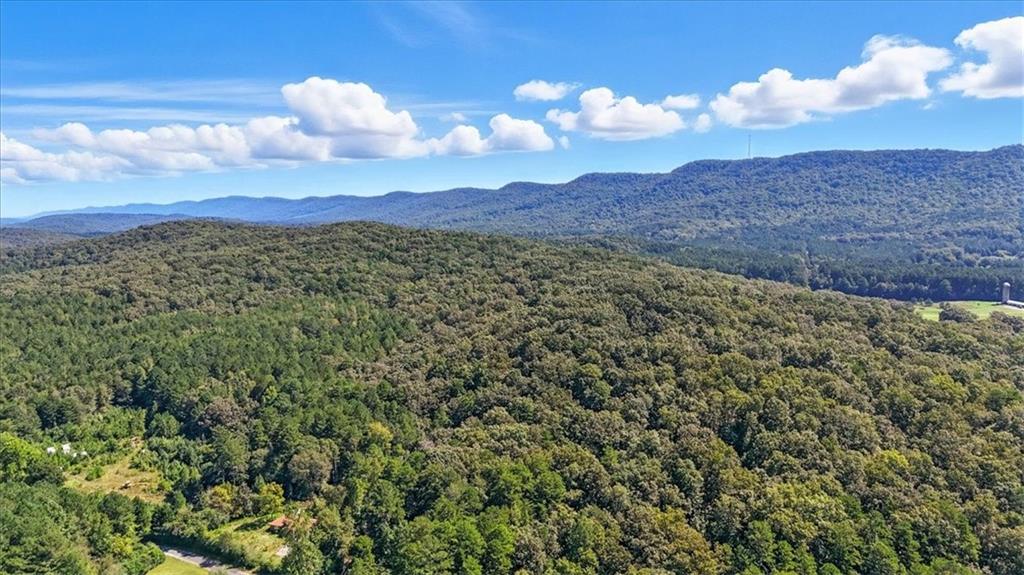 This property has amazing mountain views and surrounded by other large tracts of land for complete privacy! Build your dream home on this quiet, rural setting in Chattooga County. Maddox Lake Rd is paved with very minimal traffic, however close to the convenience of downtown Summerville. Build, hunt, sale timber, hold for investment, the possibilities are endless.