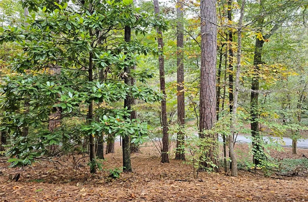 Roswell, Georgia 30075, United States, 4 Bedrooms Bedrooms, ,4 BathroomsBathrooms,Residential,Active,237043