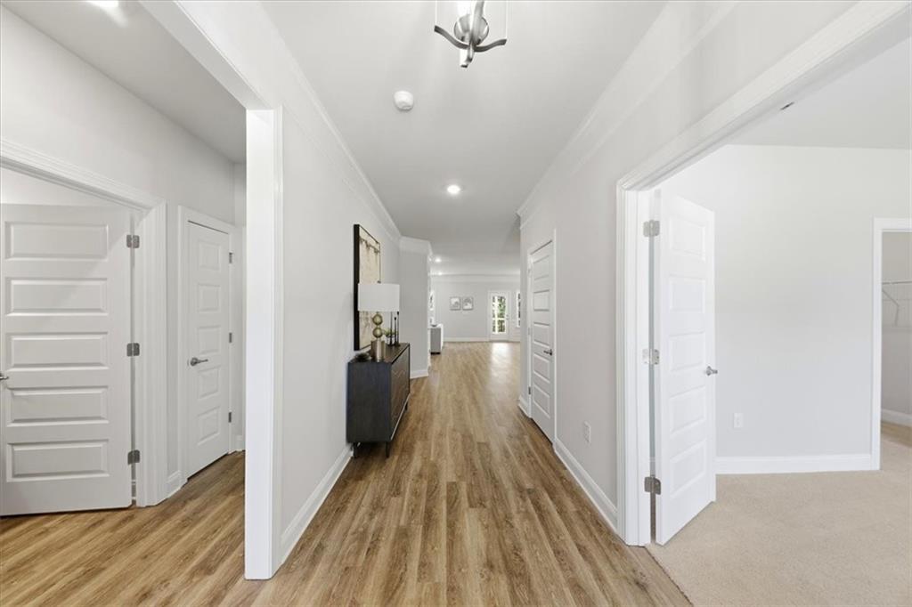 3305 Trevi Trail