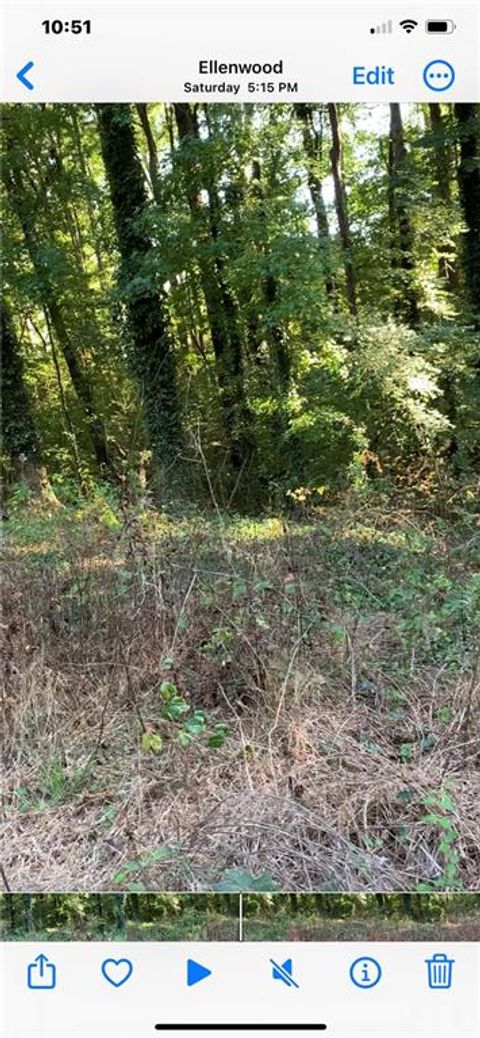 5992 Little Mountain Drive Ellenwood GA 30294