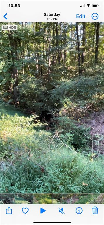 5992 Little Mountain Drive