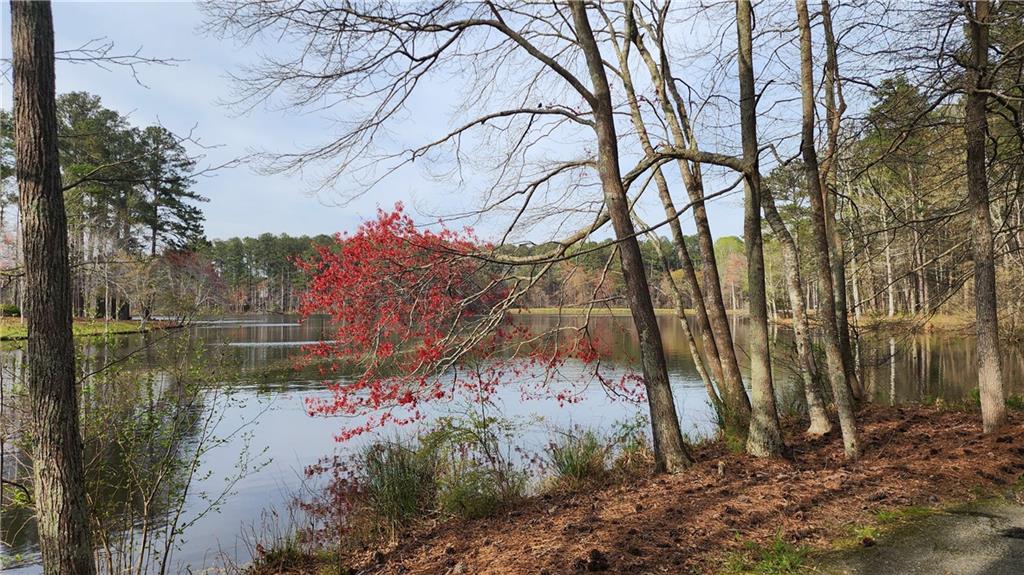 27 Danbury Hill Hl #COWETA, Sharpsburg, Georgia image 44